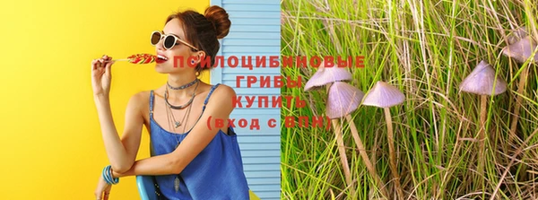 прущая мука Заводоуковск