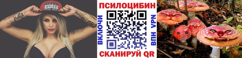 Купить где  Козьмодемьянск  Галлюциногенные грибы мицелий 